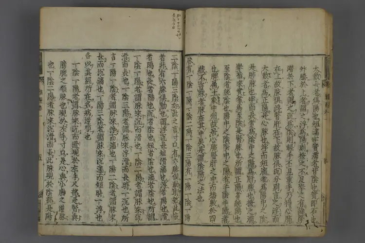 八十一难经 八十一难经