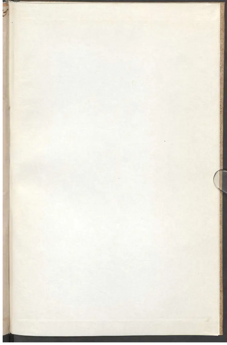 河下南音打水围