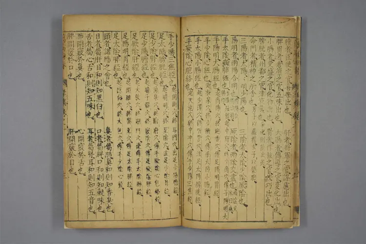 增补万病回春卷一