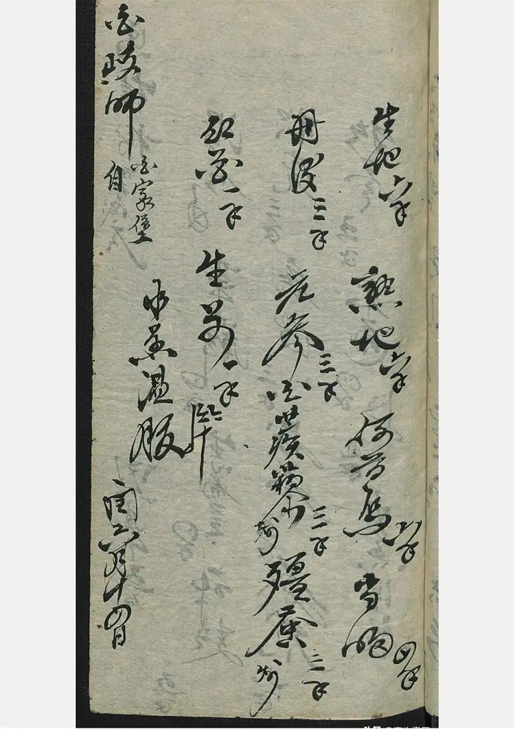 刘氏手到生春 刘氏手到生春