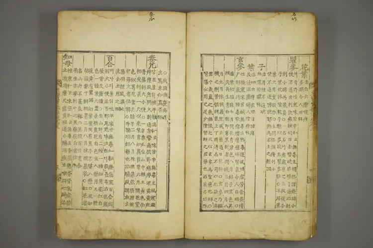 东医宝鉴卷二十四 东医宝鉴卷二十四