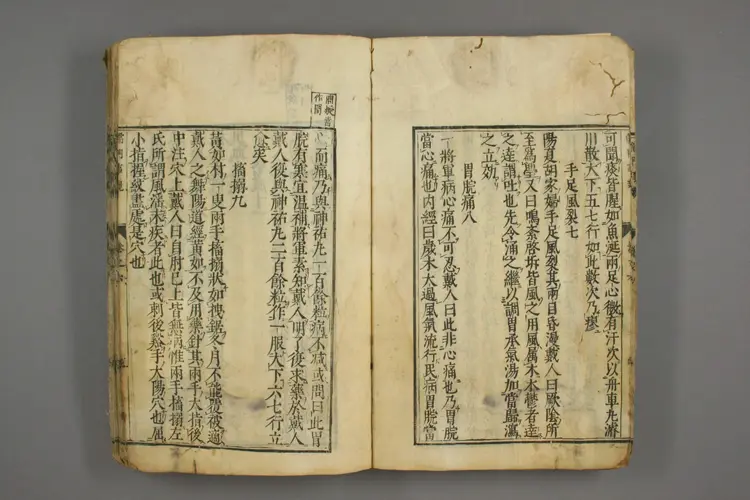 儒门事亲卷六、七、八、九