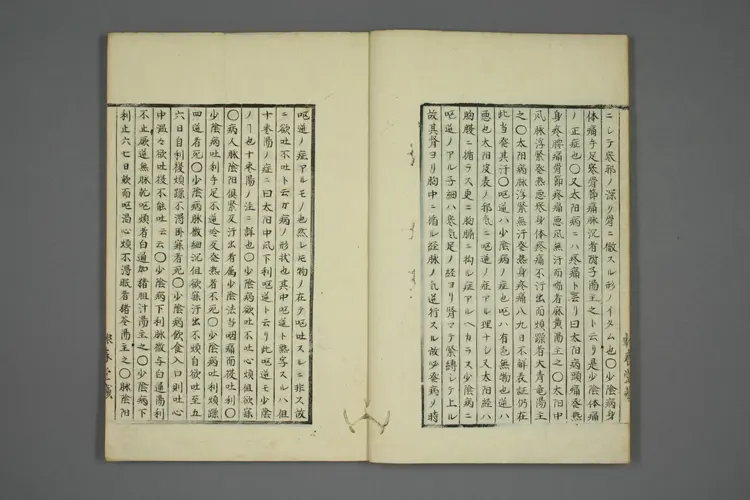 伤寒五种传卷九 伤寒五种传卷九