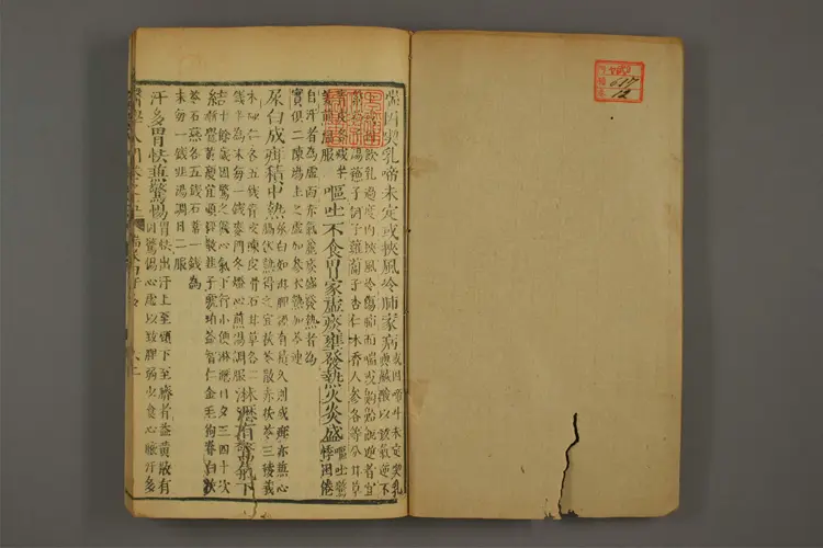 医学入门卷十二