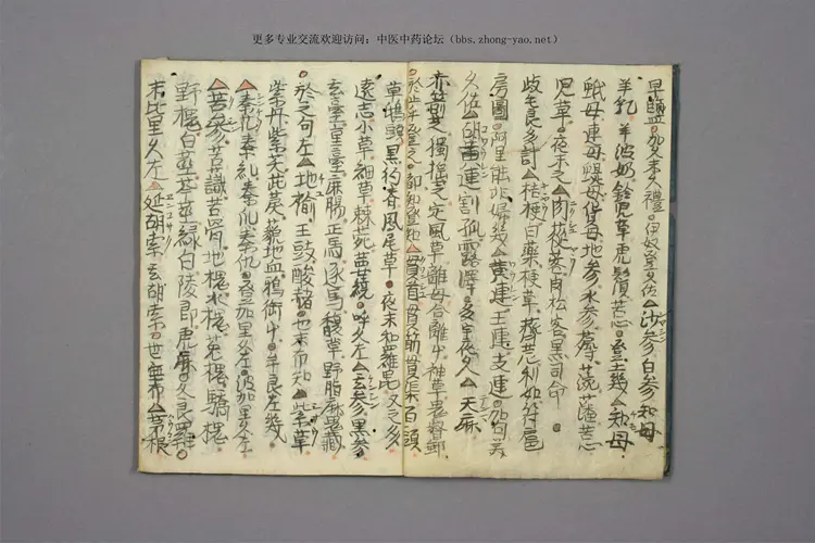 孤版手抄:药种两名集 孤版手抄:药种两名集