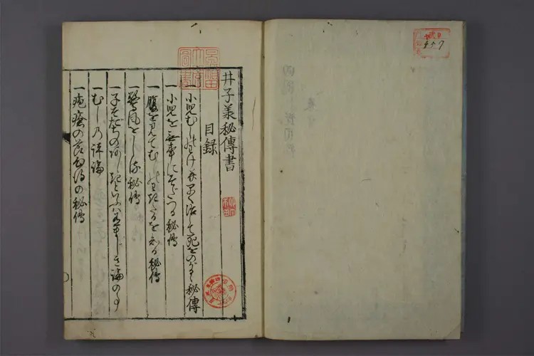 大人小儿疗治方