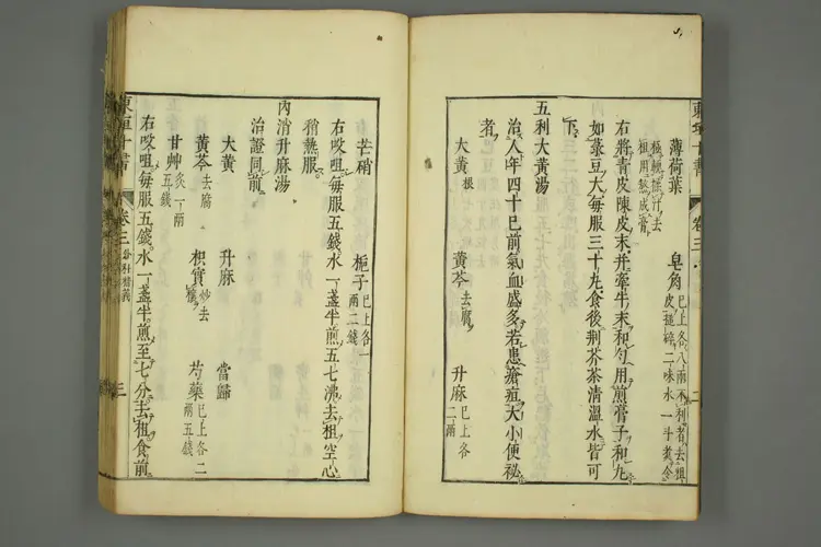 东垣十书卷二十