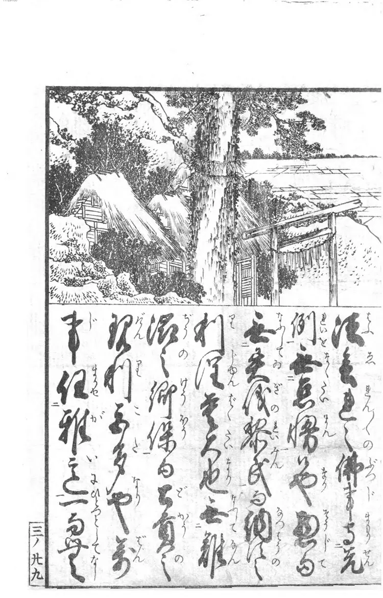 �汾ͥѵ����. ȫ �汾ͥѵ����. ȫ