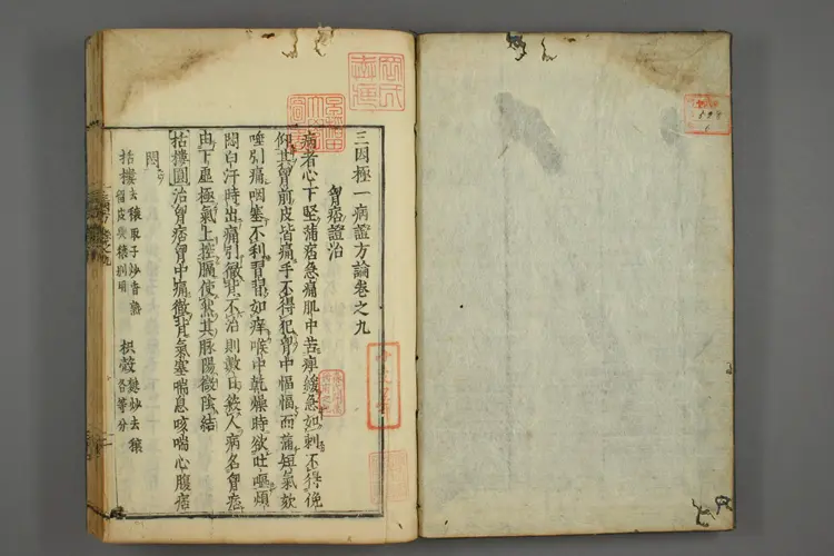 三因极一病证方论卷九、十