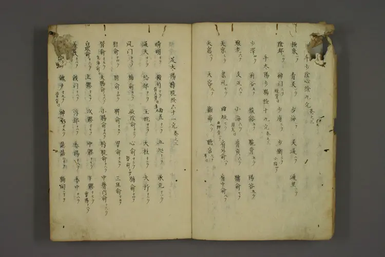 十四经络腧穴条辨