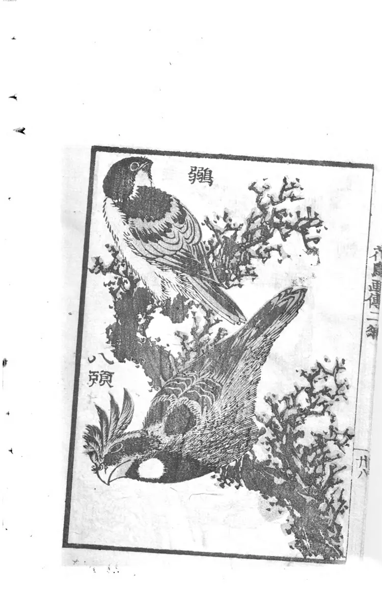 花鸟画传. 2 花鸟画传. 2