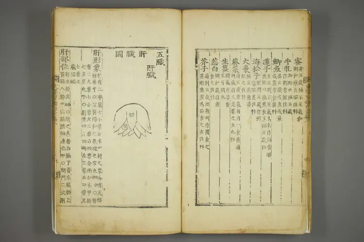 东医宝鉴卷五 东医宝鉴卷五