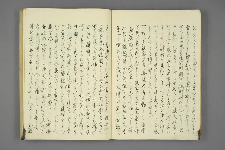 大明律例訳義 大明律例訳義