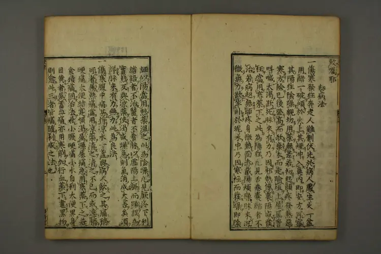 伤寒六书（杀车槌）卷四