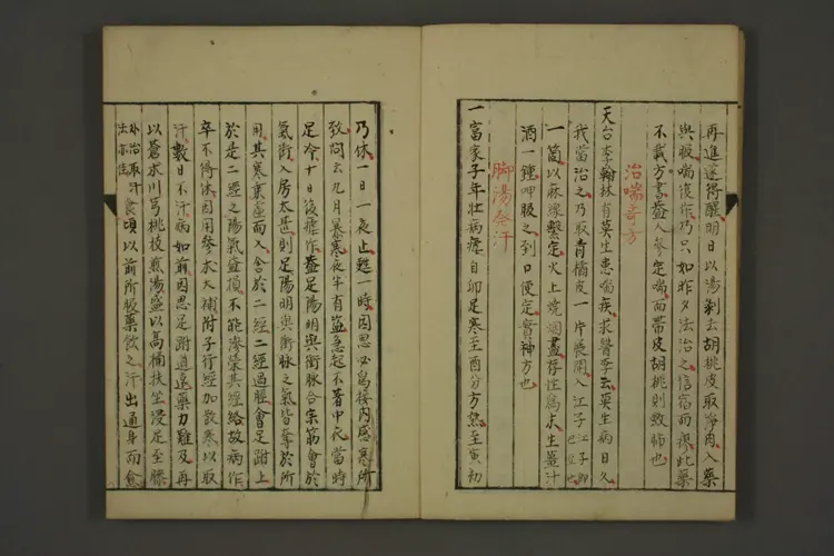 医典集抄 医典集抄