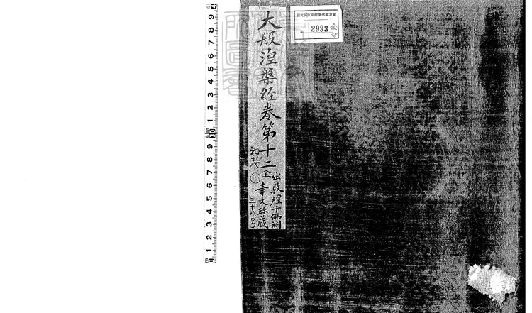 496 大般涅槃經殘一卷 唐鈔本 496 大般涅槃經殘一卷 唐鈔本