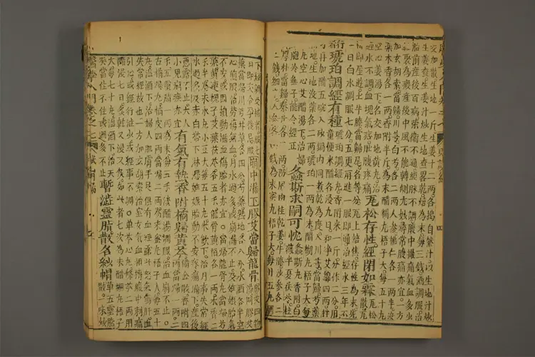 医学入门卷十五