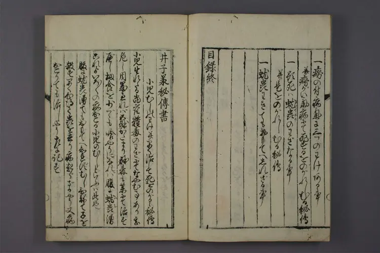 大人小儿疗治方