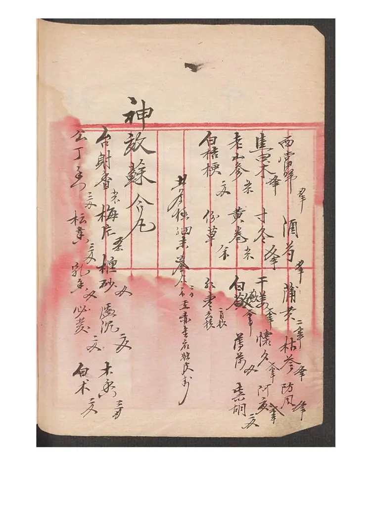 李振芳 成药方63页 李振芳 成药方63页