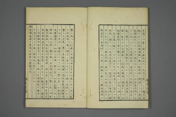 伤寒五种传卷八