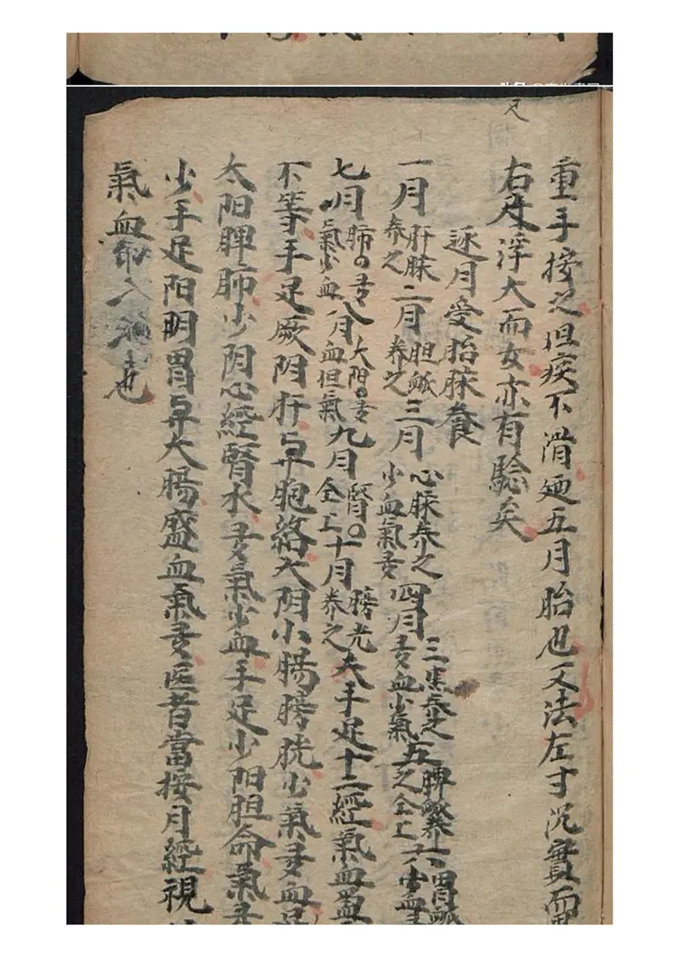 妇人全书祛瘟全览56页 妇人全书祛瘟全览56页