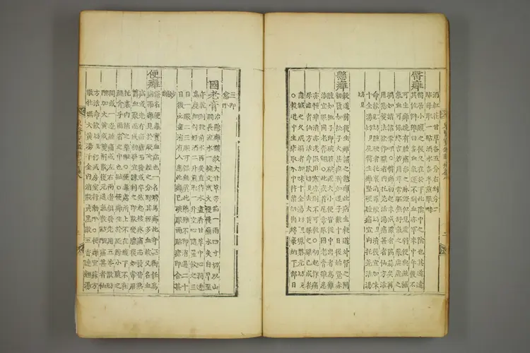 东医宝鉴卷十八 东医宝鉴卷十八