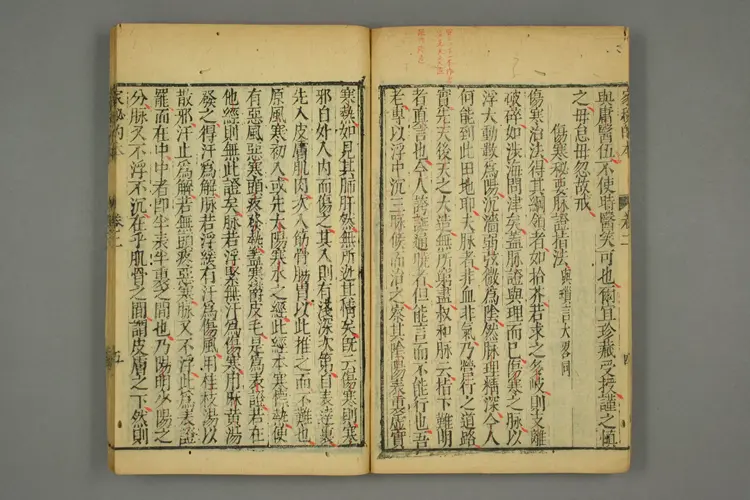 伤寒六书之家秘的本 伤寒六书之家秘的本