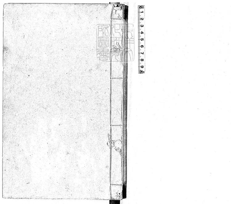 112 大唐六典殘十三卷 嘉靖中刊本 112 大唐六典殘十三卷 嘉靖中刊本
