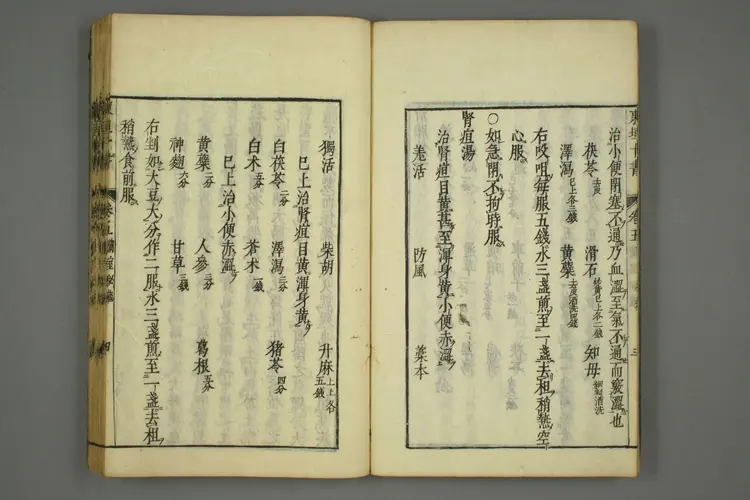 东垣十书卷十六