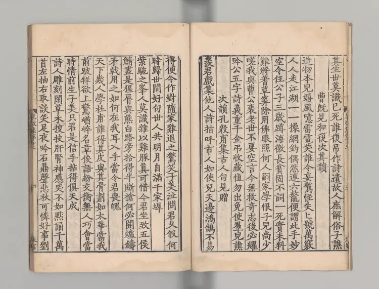 東坡集 著者蘇軾（宋）宋刊本0101