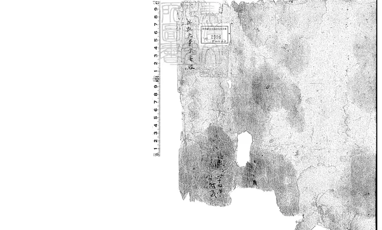 500 無量壽宗要經殘一卷　唐鈔本