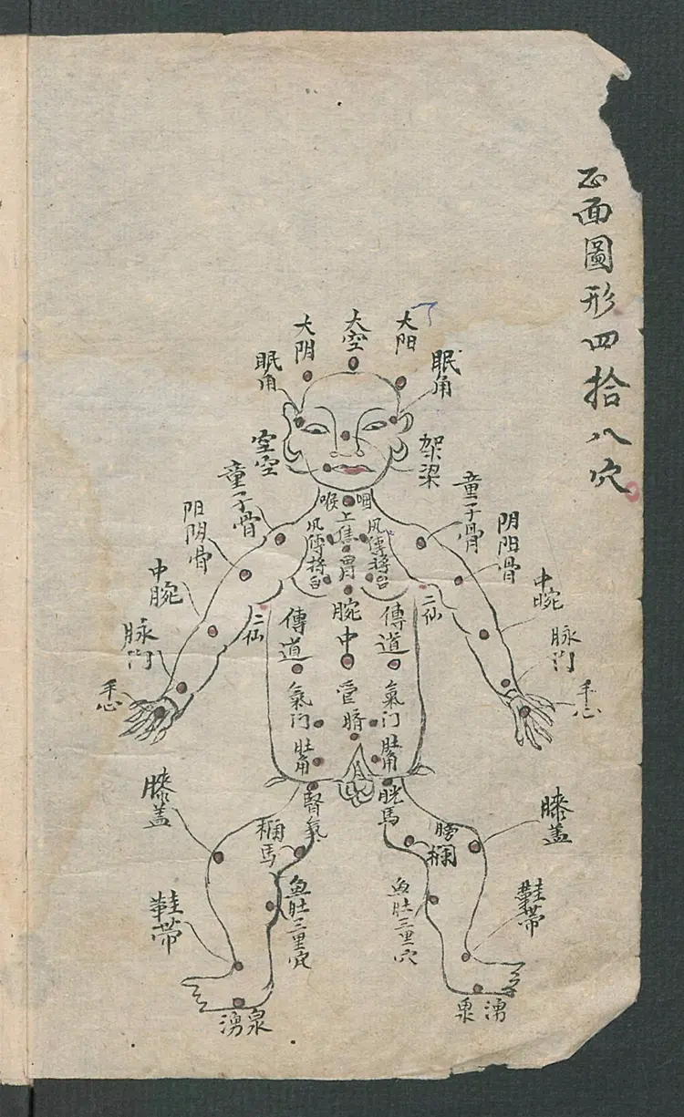 华佗仙师秘传1920年 169页