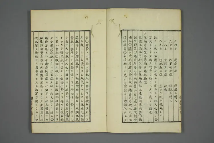 伤寒五种传卷五 伤寒五种传卷五