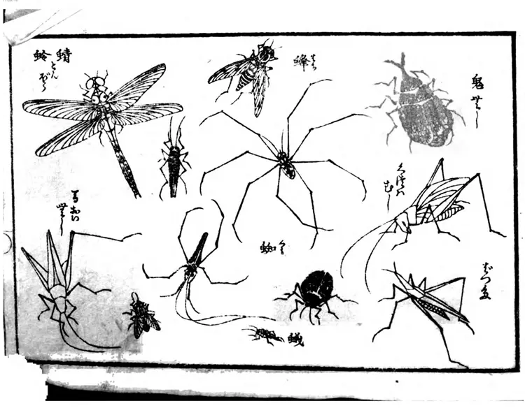 花鸟山水细画図式
