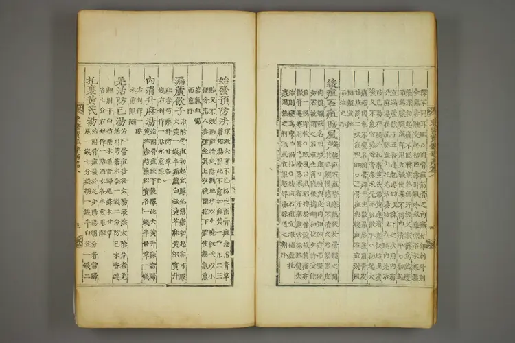 东医宝鉴卷十八 东医宝鉴卷十八