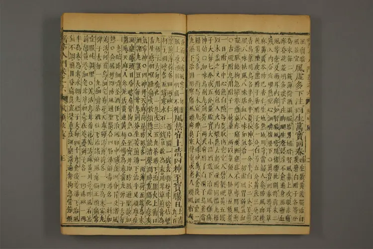 医学入门卷十三 医学入门卷十三