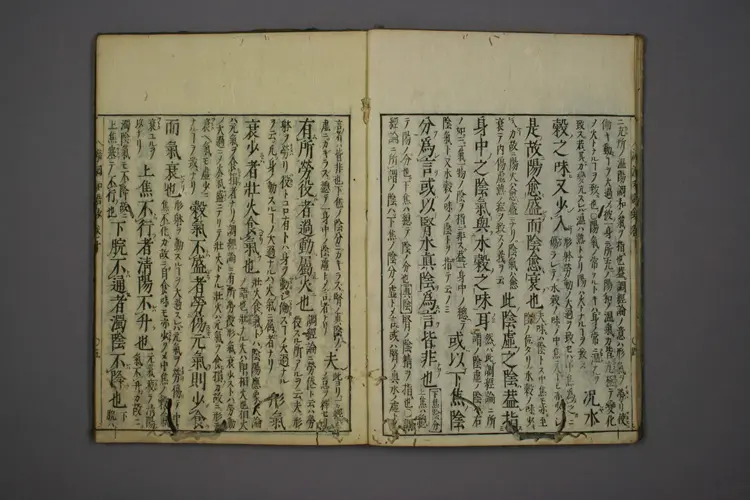 医经溯洄集和语钞卷十 医经溯洄集和语钞卷十