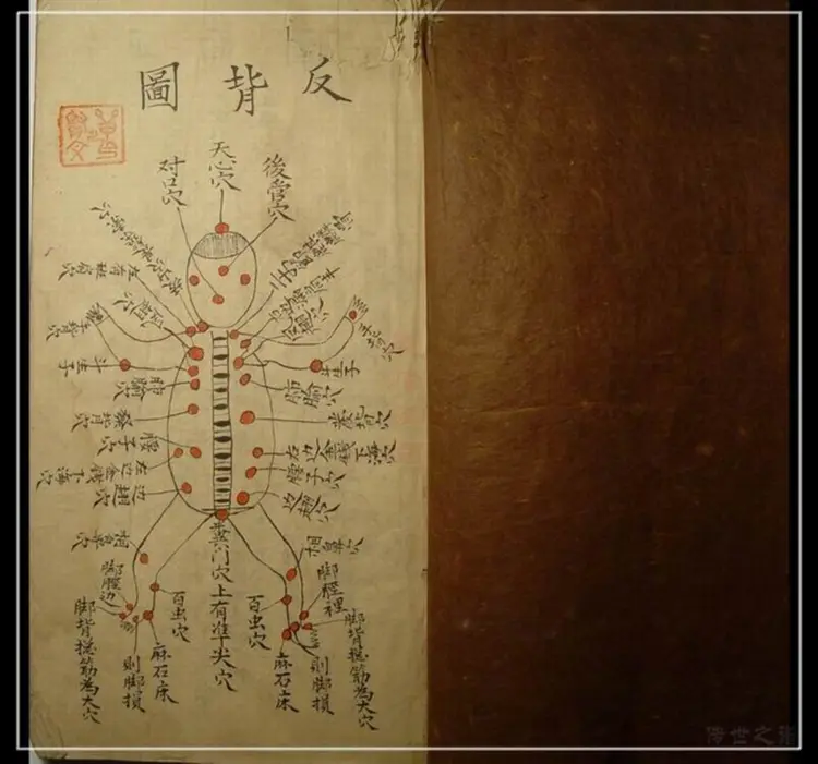 江西高安民间伤科跌打书手抄本