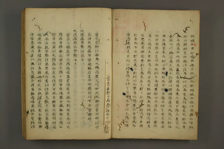 伤寒讲义 伤寒讲义