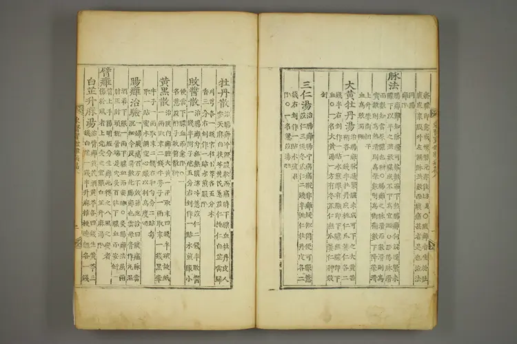 东医宝鉴卷十八 东医宝鉴卷十八