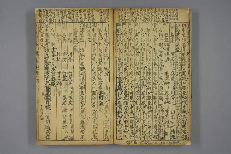 增补万病回春卷二