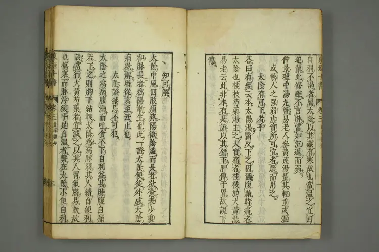 东垣十书卷十二 东垣十书卷十二