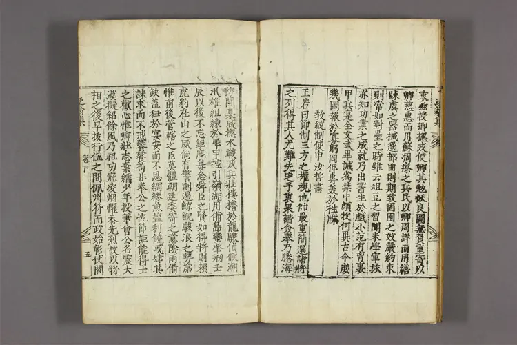 泛翁集 卷之1-6,附录  洪柱国著