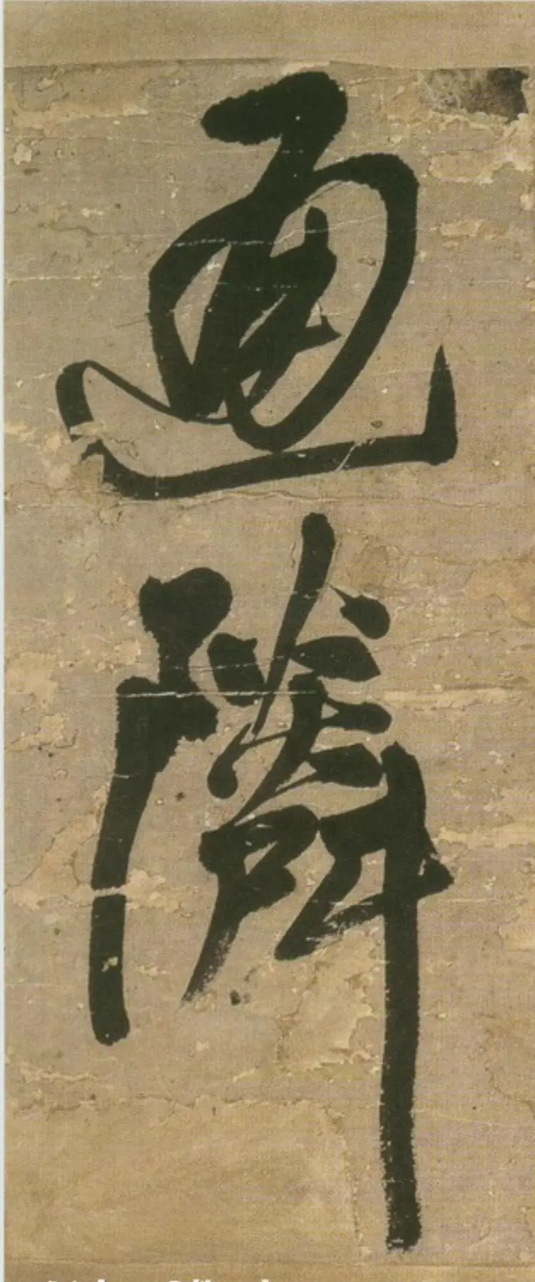 青圃通邻巷五言诗 青圃通邻巷五言诗