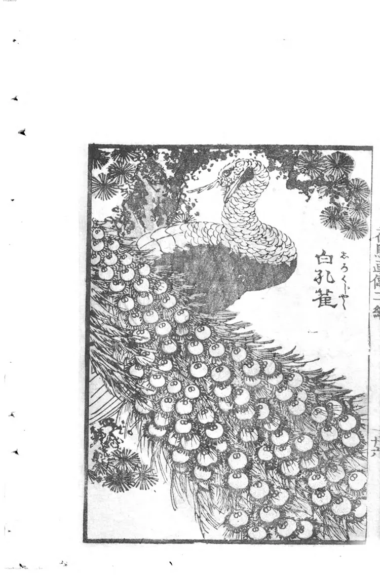 花鸟画传. 2 花鸟画传. 2