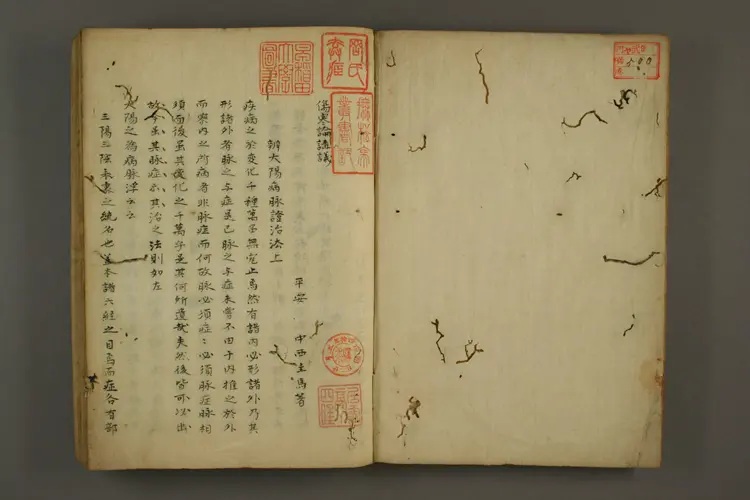 伤寒讲义 伤寒讲义