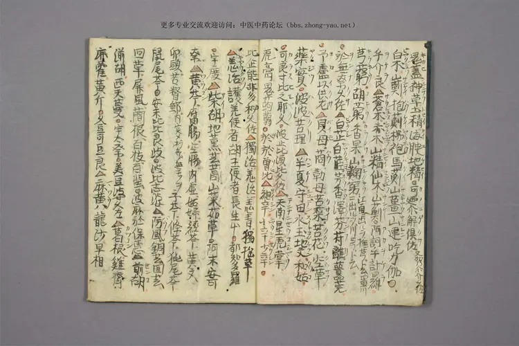 孤版手抄:药种两名集 孤版手抄:药种两名集