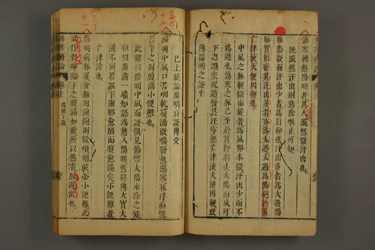 伤寒大成卷二 伤寒大成卷二