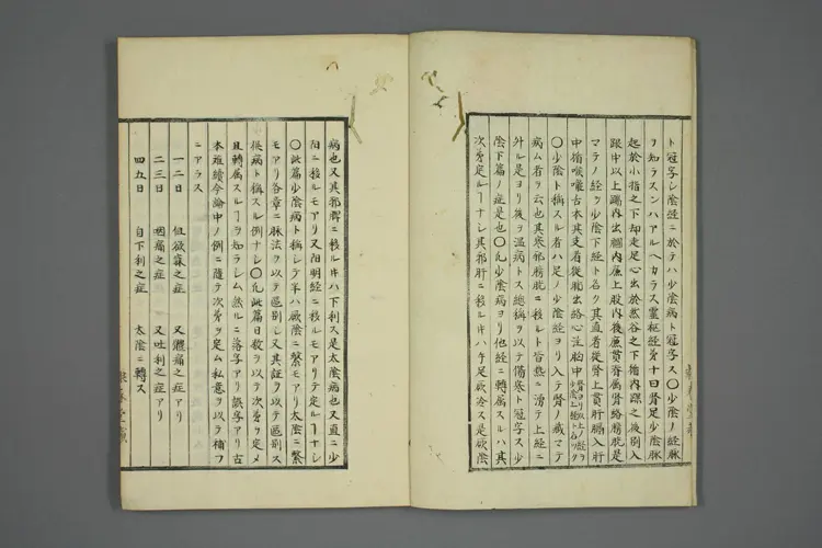 伤寒五种传卷五 伤寒五种传卷五