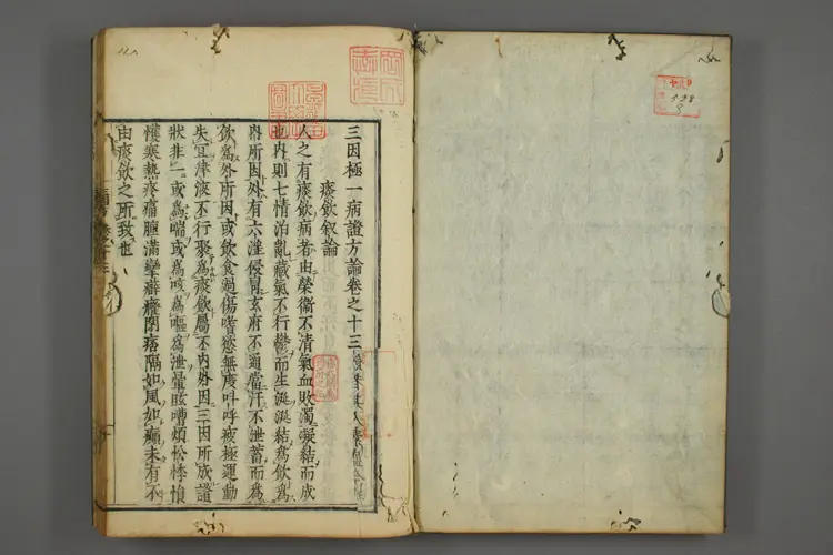 三因极一病证方论卷十三、十四